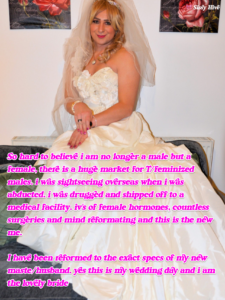 Best Sissy Wedding Captions for Every Occasion